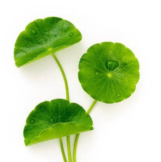 Hydro Real Deep Mask